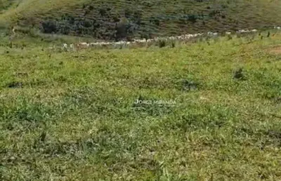 Fazenda à venda, 484 m² por r$ 3.200.000,00 - zona rural - alfredo chaves/es
