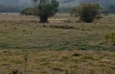 Fazenda à venda no Centro, Quadra 