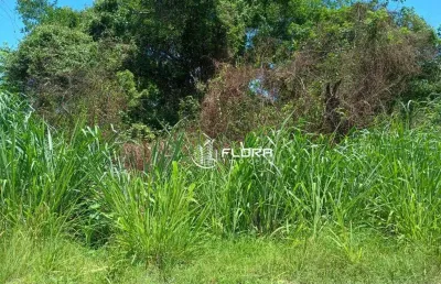 Terreno linear, no condomínio mangueiras, com 363. à venda por r$ 100.000,00, cajueiros, maricá - rj m²