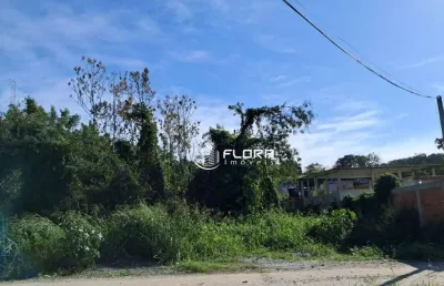 Terreno linear com 600 m², à venda por r$ 110.000,00, chác de inoã - maricá - rj