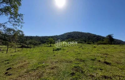Terreno à venda, 35000 m² por r$ 450.000 - inoã - maricá/rj