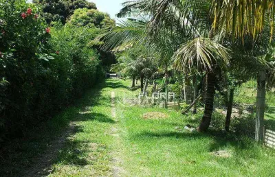 Sítio com 2 dormitórios à venda, 20000 m² por r$ 840.000,00 - manoel ribeiro (ponta negra) - maricá/rj