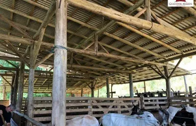 Chácara / sítio com 2 quartos à venda no Centro, Balneário Piçarras 