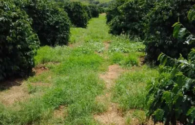 Fazenda à venda na Praça Quintino Bocaiúva, Centro, Varginha