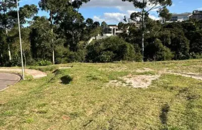 Terreno à venda na Avenida Honório Alvares Penteado, Tamboré, Santana de Parnaíba
