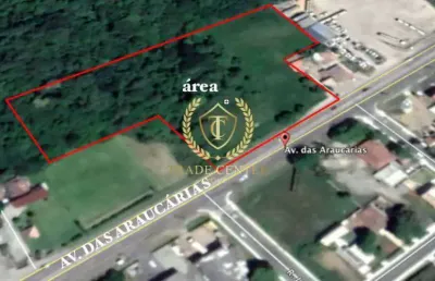 Terreno comercial à venda na Avenida das Araucárias, --, Thomaz Coelho, Araucária