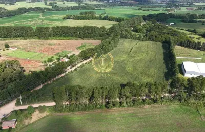 Terreno à venda na Rua Pedro Buhrer, --, Campo Largo da Roseira, São José dos Pinhais