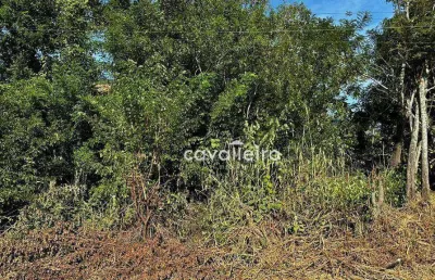 Terreno à venda, 1120 m² por r$ 150.000,00 - chácaras de inoã (inoã) - maricá/rj