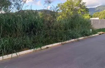 Terreno à venda, 1069 m² por r$ 160.000,00 - vale da figueira (ponta negra) - maricá/rj