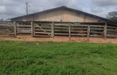 Fazenda dupla aptidão com 39 alqueires paulistas em votuporanga - sp