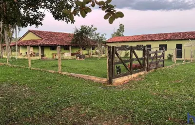 Fazenda dupla aptidão com 206 alqueires em serranópolis - go