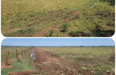 Fazenda para pecuária com 130 alqueires em formosa - go