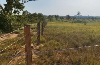 Fazenda dupla aptidão 1.250 alqueires em recursolândia-to