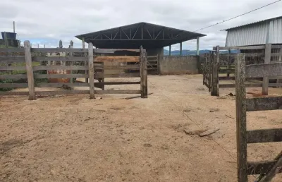 Fazenda dupla aptidão com 150 hectares em pouso alegre - mg