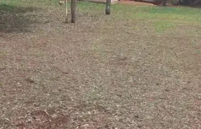 Fazenda dupla aptidão com 38 alqueires em panamá - go