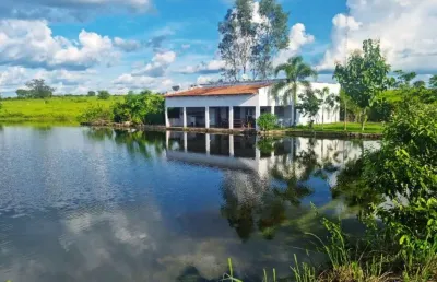 Fazenda dupla aptidão com 276 alqueires na região da lagoa da confusão -to