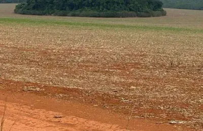 Fazenda dupla aptidão com 350 alqueires em cidade ocidental - go