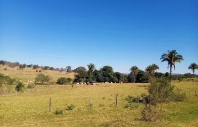 Fazenda dupla aptidão com 183 alqueires em caldas novas - go