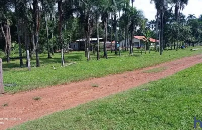 Fazenda com 81 alqueires para pecuária no município de bom jardim de goiás - go