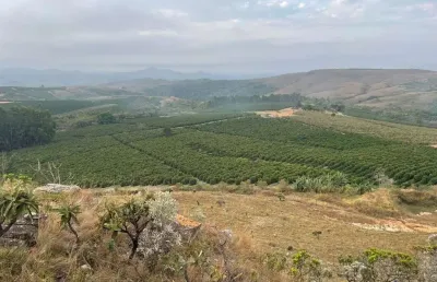 Fazenda com 10 alqueires paulistas para agricultura em café em capitólio - mg