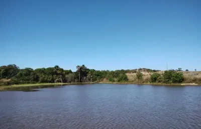 Fazenda com 137 alqueires dupla aptidão no município de cristalândia-to