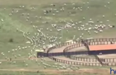 Fazenda para pecuária com 6.135 hectares em santo antõnio do leverger - mt
