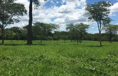 Fazenda dupla aptidão com 415 alqueires em mimoso - go