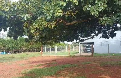 Fazenda dupla aptidão com 105 alqueires em fazenda nova - go