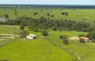 Fazenda dupla aptidão com 100 alqueires em sucupira - to