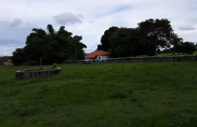 Fazenda dupla aptidão com 906 alqueires em araguaçu - to