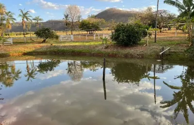 Fazenda dupla aptidão com 103 alqueires em araguari - mg