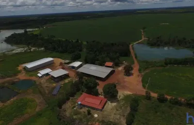 Fazenda com 955 alqueires dupla aptidão em divinópolis do tocantins - to