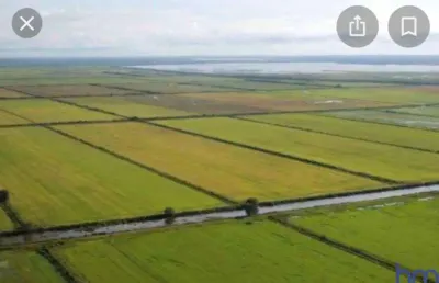 Fazenda dupla aptidão com 6.144 alqueires em lagoa da confusão - to  região do vale do araguaia