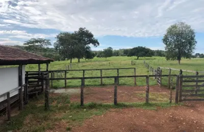Fazenda com 90 alqueires dupla aptidão no município de jussara - go