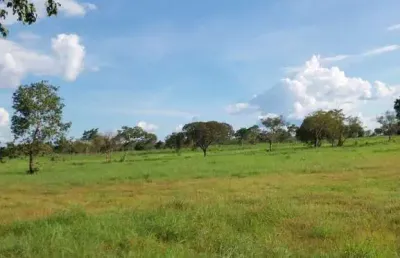 Fazenda dupla aptidão com 270 alqueires em duerê - to