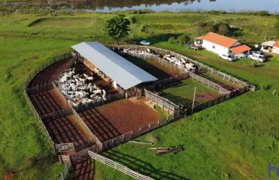 Fazenda com 401 alqueires paulistas dupla aptidão em nova andradina - ms