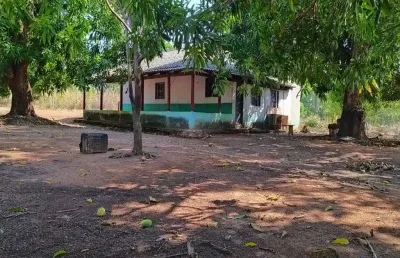 Fazenda com 146 alqueires dupla aptidão no município de porto nacional - to