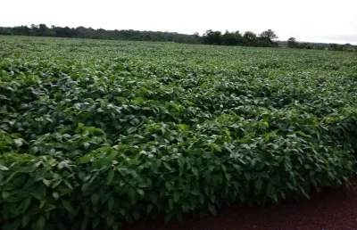 Fazenda com 1.050 alqueires dupla aptidão no município de santana do araguaia - pa
