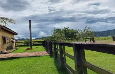 Fazenda com 2.311 alqueires dupla aptidão no município de são félix do xingu - pa