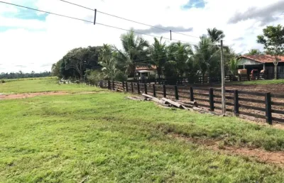 Fazenda com 400 alqueires para pecuária no município de são félix do xingu - pa