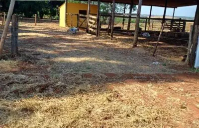 Fazenda com 15 alqueires dupla aptidão no município de araporã - mg