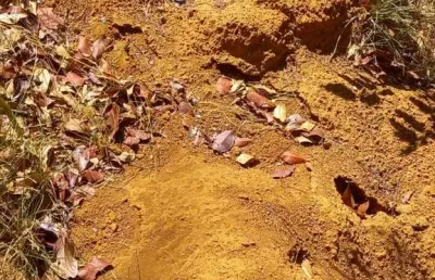 Fazenda dupla aptidão com 10.000 hectares área bruta em barão de grajaú - ma