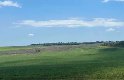 Fazenda 230 alqueires para lavoura com dívidas em cristalina-go