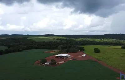 Fazenda para agricultura com 1.300 hectares em primavera do leste