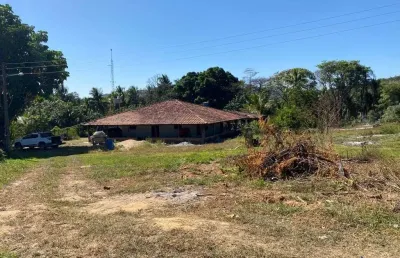 Fazenda para pecuária com 96 alqueires em goianésia-go
