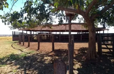 Fazenda dupla aptidão em campina verde-mg 206 alqueires