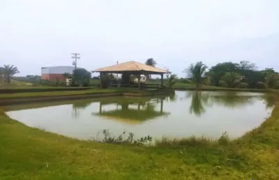 Ótima fazenda 130 alqueires dupla aptidão com cana arrendada e pista de pouso em panorama-sp