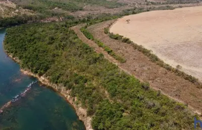 Fazenda 47 alqueires em lavouras em campo alegre de goiás-go