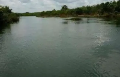 Fazenda 1.260 alqueires de dupla aptidão em dianópolis-to