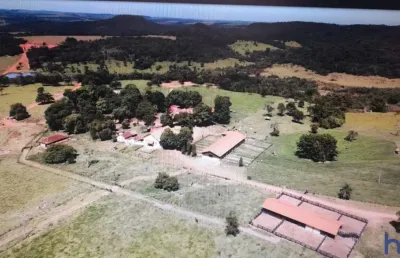 Excelente fazenda 110 alqueires de dupla aptidão em uberaba-mg